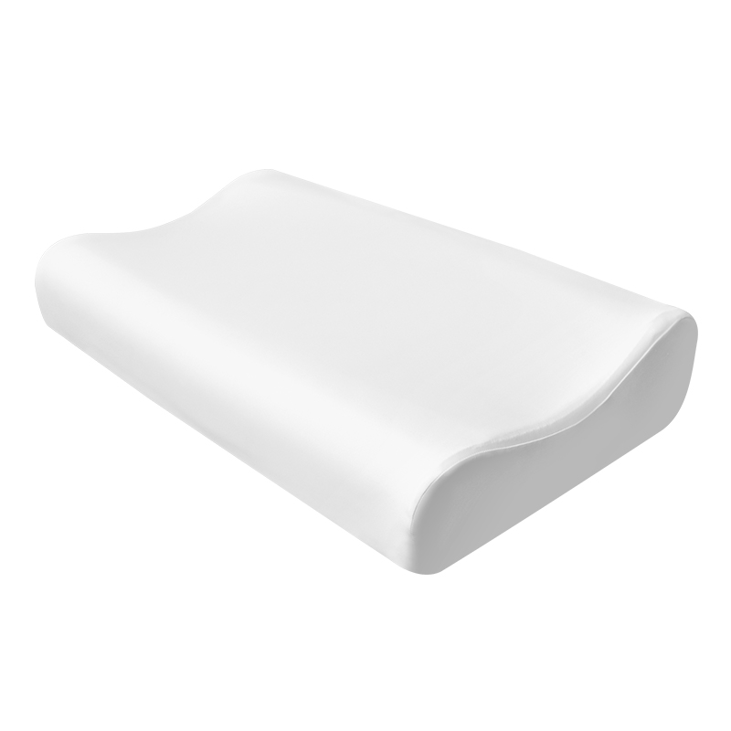 Memory Form Healthy Sleep Pillow JK42